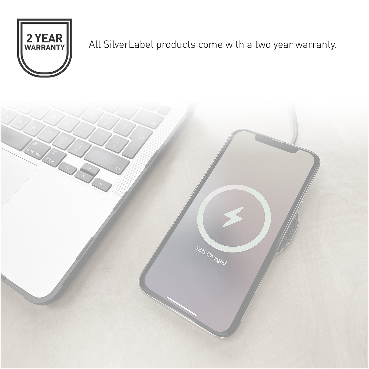 SilverLabel 1m USB-C to Lighting Cable Black