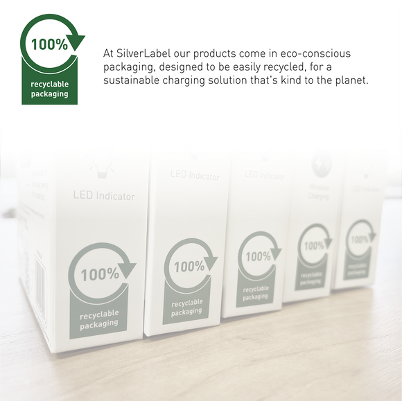 SilverLabel 1m USB-C to Lighting Cable Black 