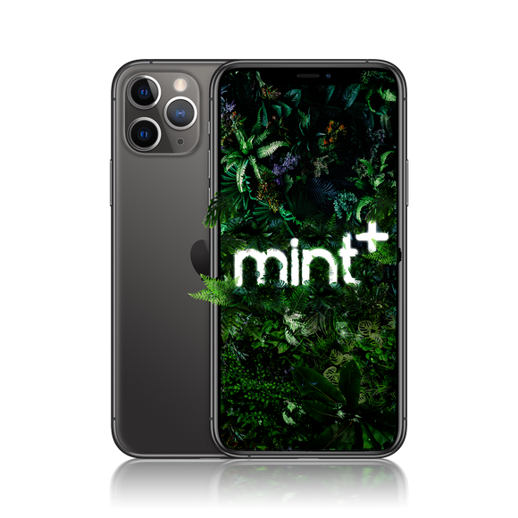iPhone 11 Pro