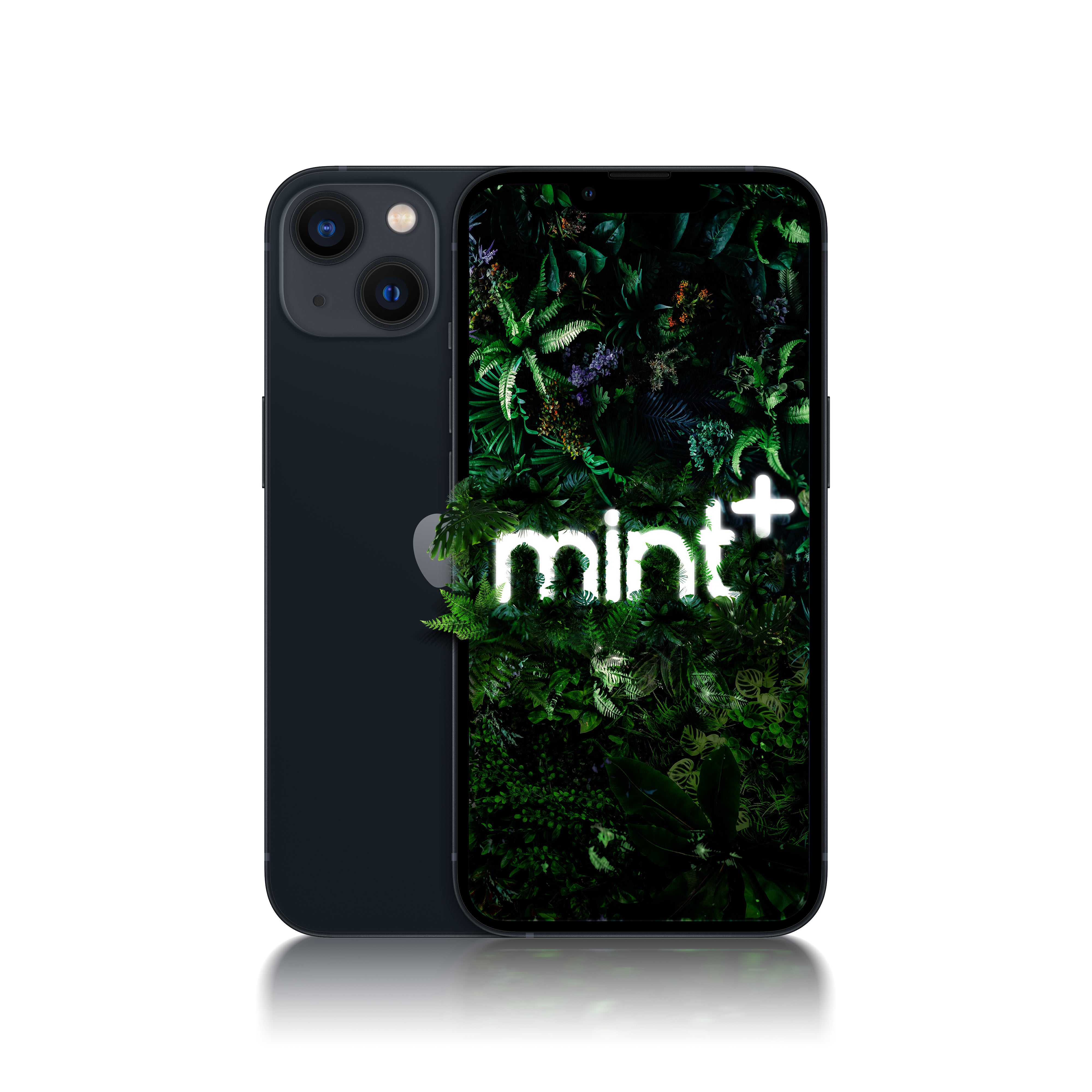 iPhone 13 Mini